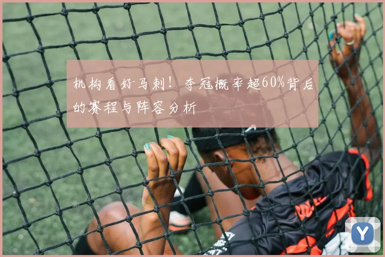 机构看好马刺！夺冠概率超60%背后的赛程与阵容分析